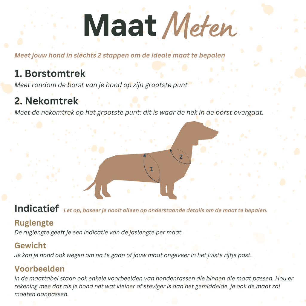 Pets Tale - Dubbelzijdige Regenjas voor Honden