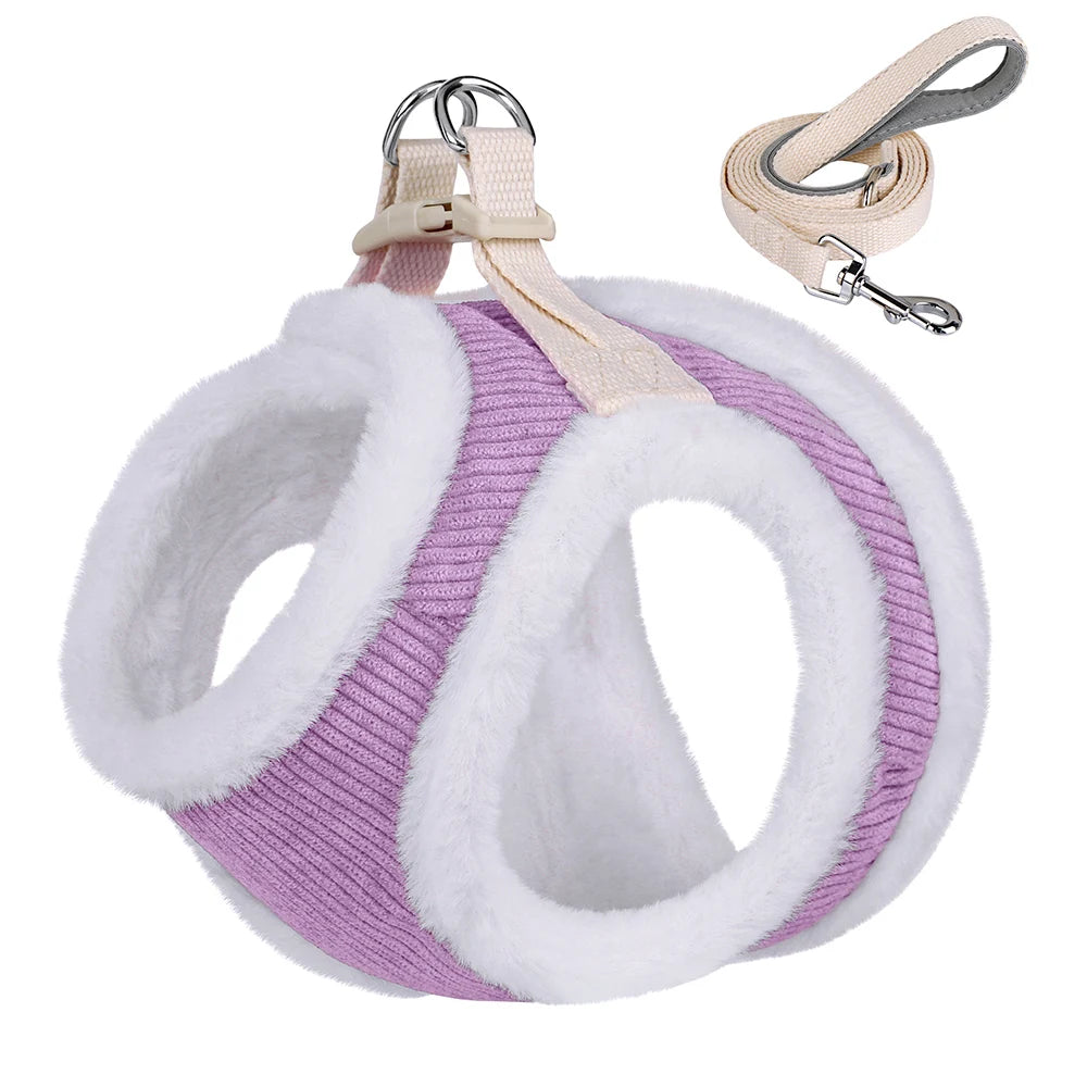 Winters Tuigje met Riem (Set) voor Kleine Honden of Katten - Teddy