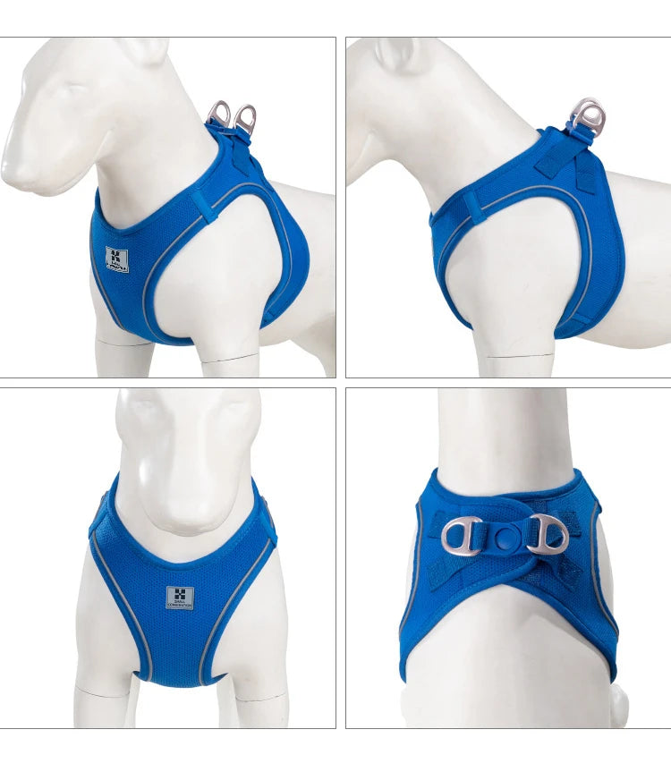 Small Combination - Reflecterende Set met Hondentuigje en Handsfree Riem