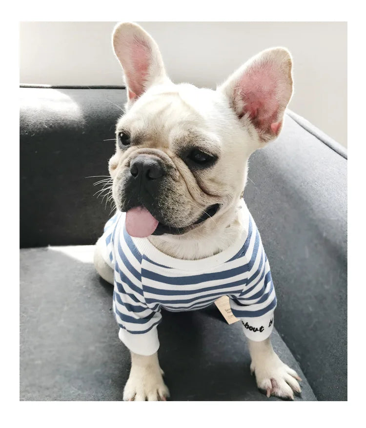 Matching Sweater voor Hond & Baasje - Stripes