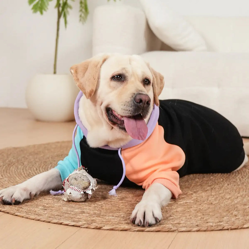 Matching Hoodie voor Hond & Baasje