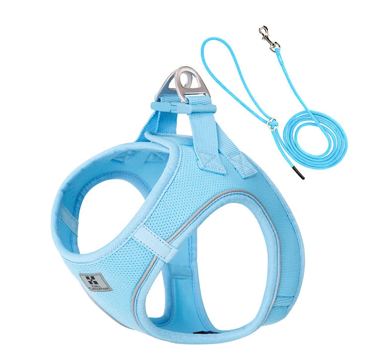 Small Combination - Reflecterende Set met Hondentuigje en Handsfree Riem