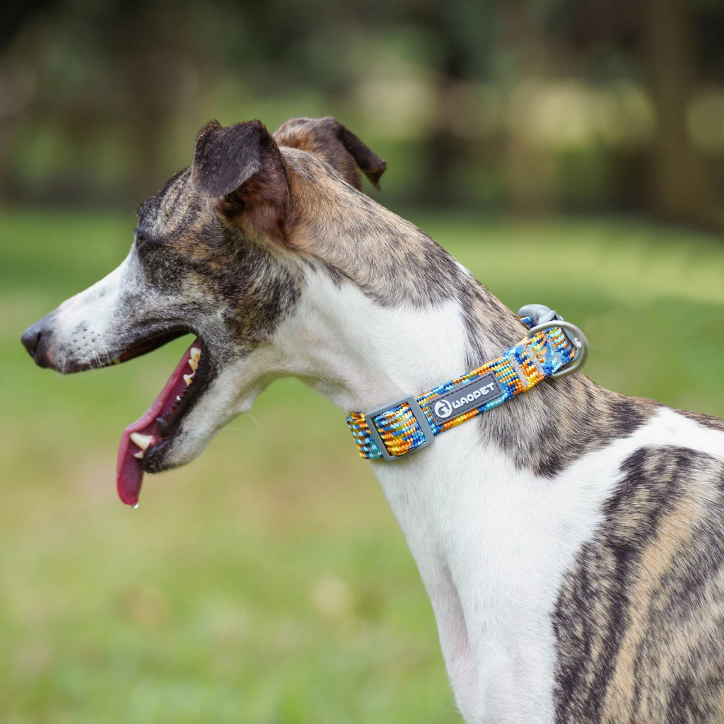 Waopet - Reflecterende Multicolor Halsband