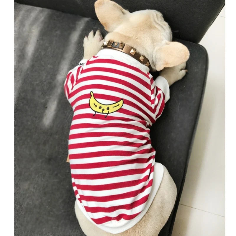 Matching Sweater voor Hond & Baasje - Stripes
