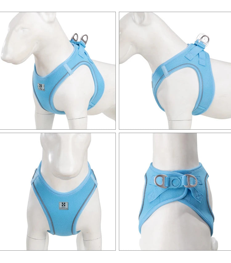 Small Combination - Reflecterende Set met Hondentuigje en Handsfree Riem