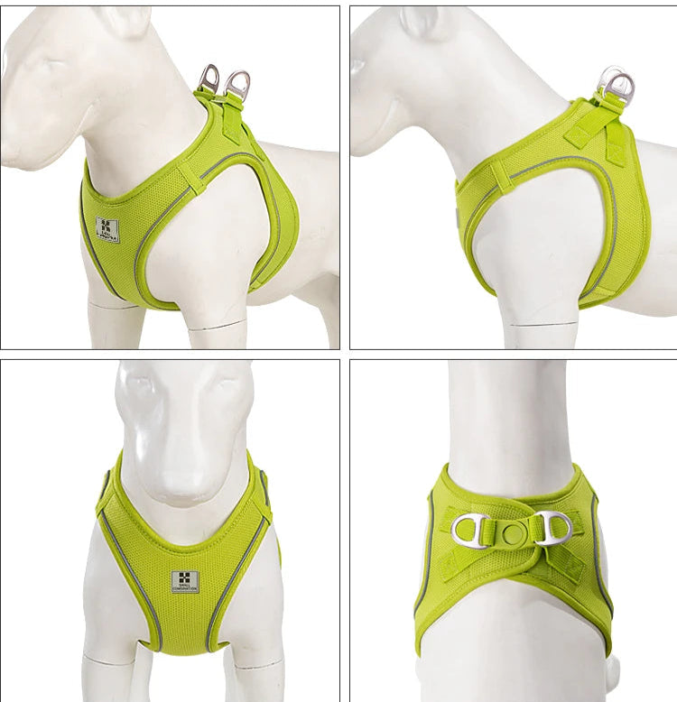 Small Combination - Reflecterende Set met Hondentuigje en Handsfree Riem
