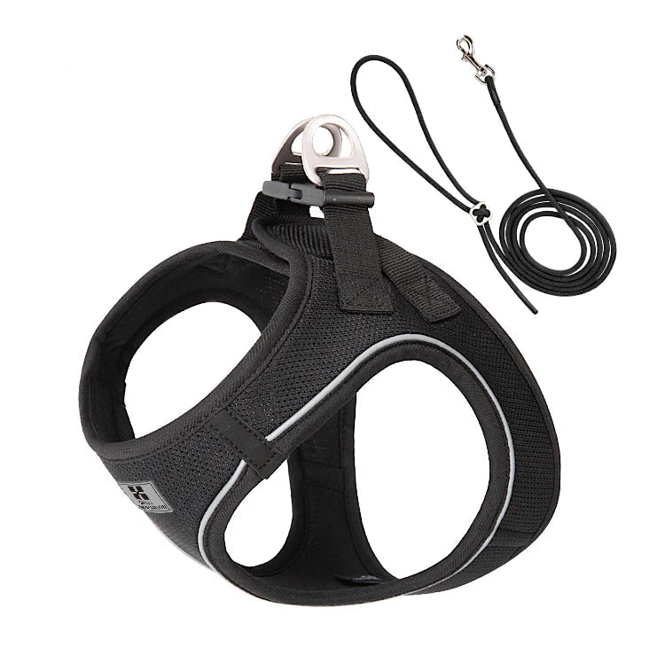 Small Combination - Reflecterende Set met Hondentuigje en Handsfree Riem