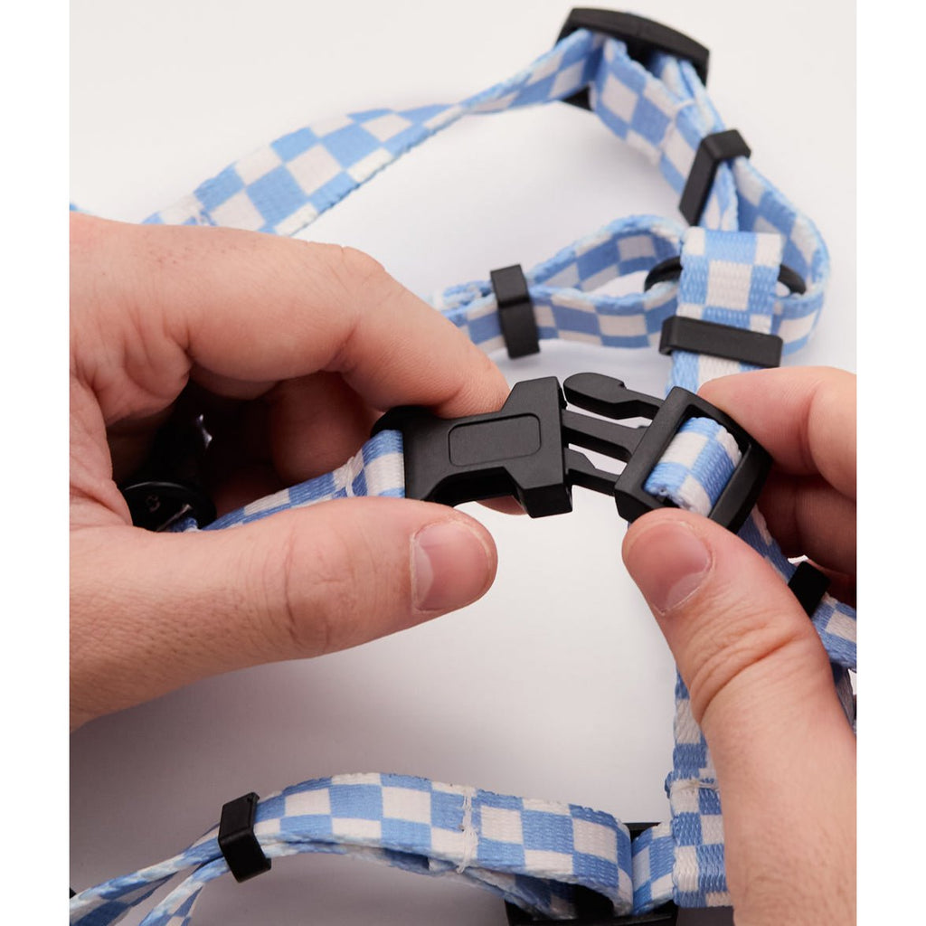 Cafide - Juno Hondentuigje & Riem (Set) - Vichy Design - Blauwe Checkbox
