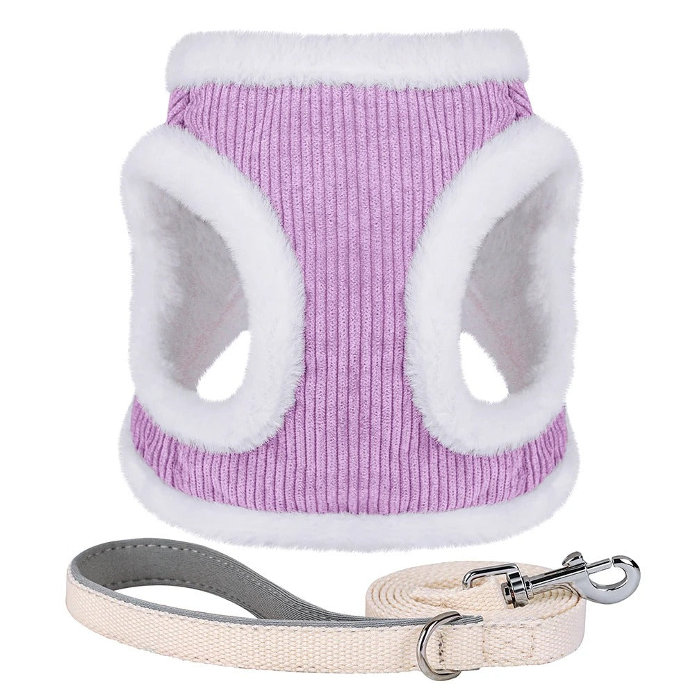 Winters Tuigje met Riem (Set) voor Kleine Honden of Katten - Teddy